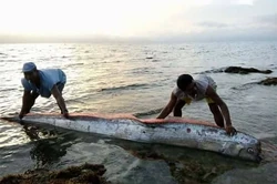 Oarfish | River Monsters Wiki | Fandom
