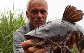 Kambali Catfish, River Monsters Wiki