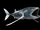 Leedsichthys