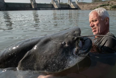 Chernobyl | River Monsters Wiki | Fandom
