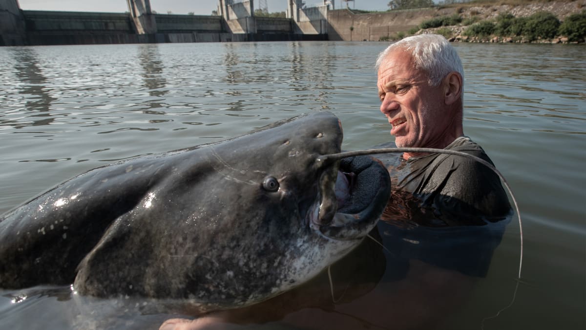 Alaska's Lost River Kings, River Monsters Wiki