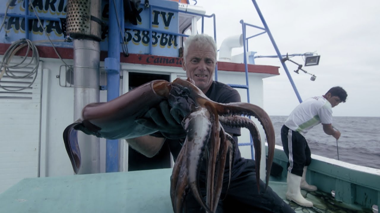 Devil of the Deep, River Monsters Wiki