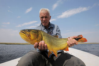 Golden Dorado River Monsters Wiki Fandom Golden Dorado River Monsters Wiki Fandom