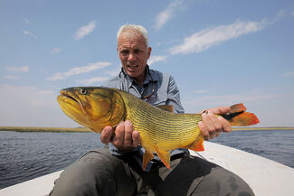 Golden Dorado River Monsters Wiki Fandom