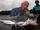 Amazon Flesh Eaters