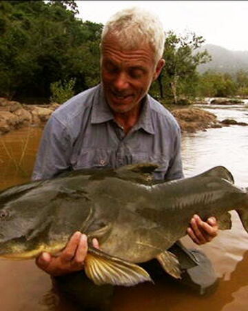 Jau River Monsters Wiki Fandom