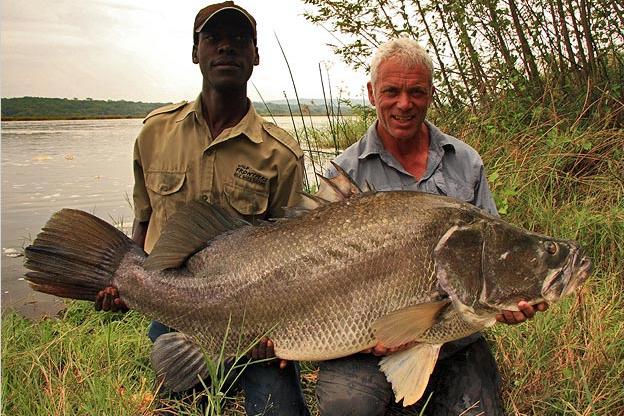 nile perch jeremy wade