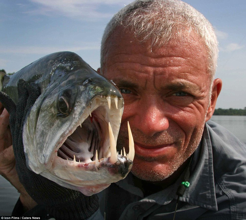 river monsters wolf fish teeth