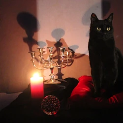 Partie 3 Sabrina Wiki Riverdale Fandom Partie 3 Sabrina Wiki Riverdale Fandom