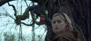 CAOS-Caps-1x01-October-Country-131-Malum-Malus-apple-Sabrina