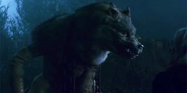 Amalia-is-a-loyal-werewolf-that-looks-very-fluffy-and-her-dress-is-absolutely-iconic