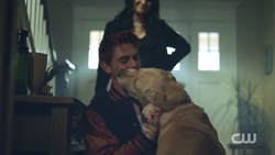 Archie embracing Vegas