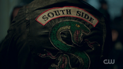 Blouson des serpents riverdale 2025