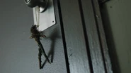 RD-Caps-3x02-Fortune-and-Men's-Eyes-50-Twig-doll.jpg (199 KB)