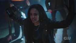 Toni surrenders