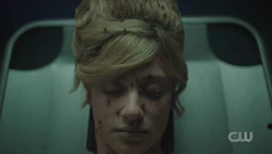 Spiders in Betty's brain
