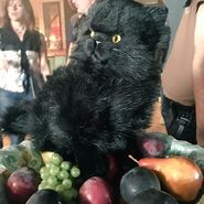 CAOS-BTS-1x01-10-Salem-Prop