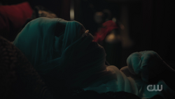 RD-Caps-6x18-Biblical-127-Rose