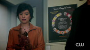 RD-Caps-2x03-The-Watcher-in-the-Woods-22-Midge.png (1,006 KB)