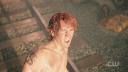 RD-Caps-6x18-Biblical-109-Archie