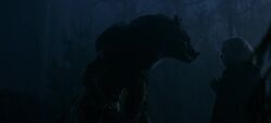 CAOS-Caps-2x03-Lupercalia-109-Amalia-Sabrina
