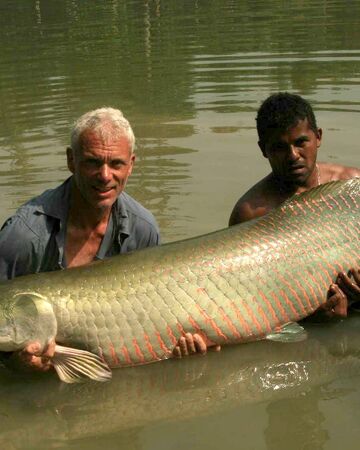 Amazon Assassins River Monsters Wiki Fandom