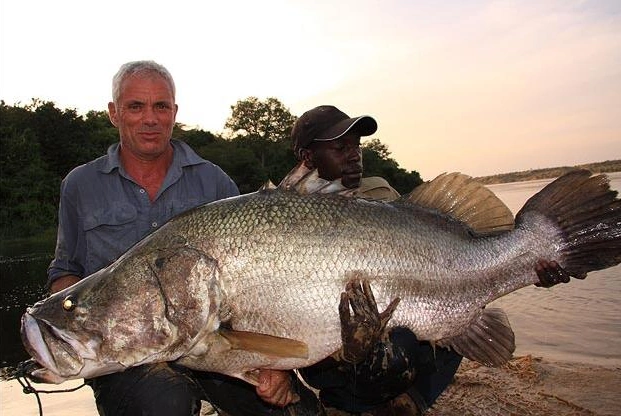 nile perch jeremy wade