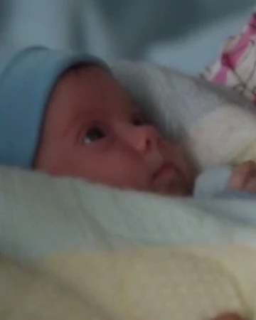 Tommy Jr The Rizzoli And Isles Series Wiki Fandom