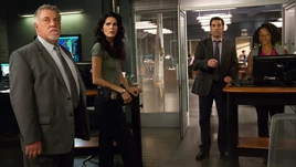 6x10