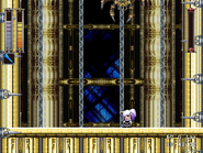 At the end of the Labyrinth of Chains, the player character is attacked by the Webmaster Spider.