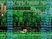 After defeating the Webmaster Spider, the player character moves on to the Garden of Chaos. These waterfalls act as defiants of gravity and can therefore change her gravity.