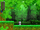 Master's Forest