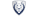 Galactic Lionslogo std.png