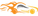 Literallylogo std.png