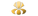 Team Irislogo std.png