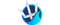 Trident Esportslogo std