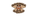 Goomba Squadlogo std.png