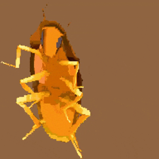 Warped Rainbow Roach Roachism Wiki Fandom