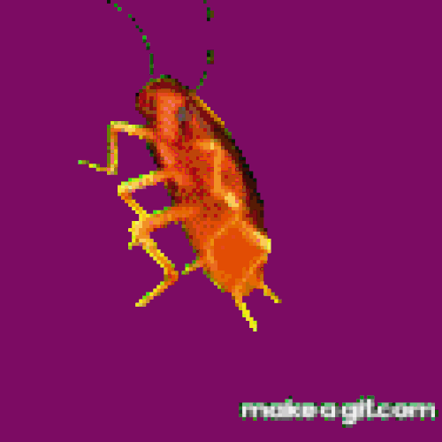 Moving Cockroach Gif
