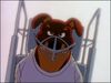 Muzzle