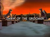 Dawn of the Groomer