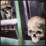 Mm4ozp.jpg (98 KB) Closeup of the skulls on the Cow Catcher.