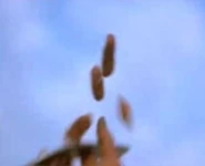 1981 MMTRW FERAL KID 6.jpg (29 KB) No more fingers.