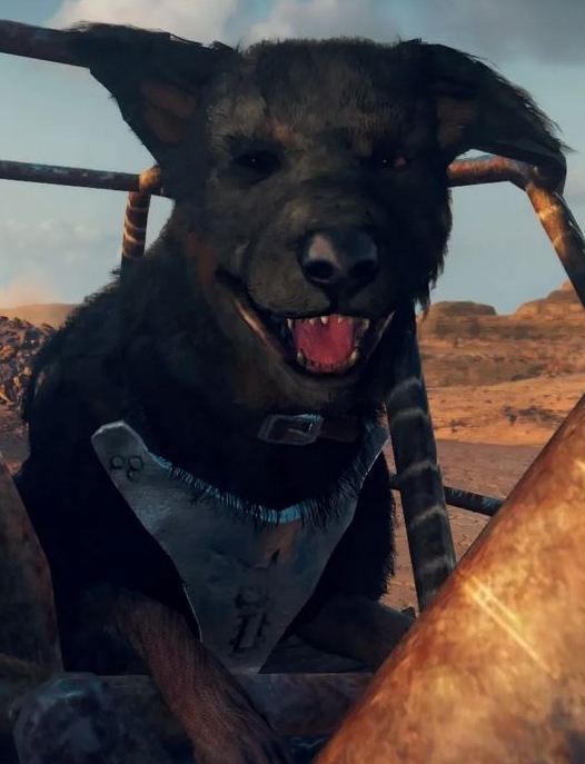 Dinki-Di (dog) | The Mad Max Wiki | Fandom