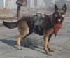 DOGMEAT