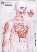 441 0129.jpg (232 KB)