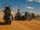 Biker Horde