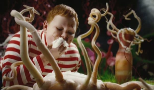 Augustus gluttonizes