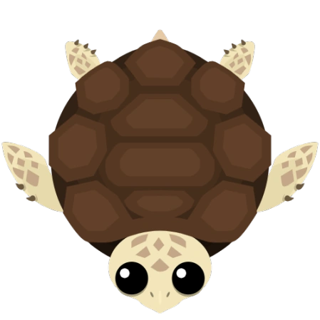Turtle | Roams.io Wiki | Fandom