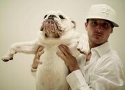 Rob-dyrdek-1-1-.jpg
